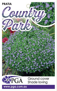 Pratia 'Country Park' (Pratia pedunculata) - Ladybird Nursery