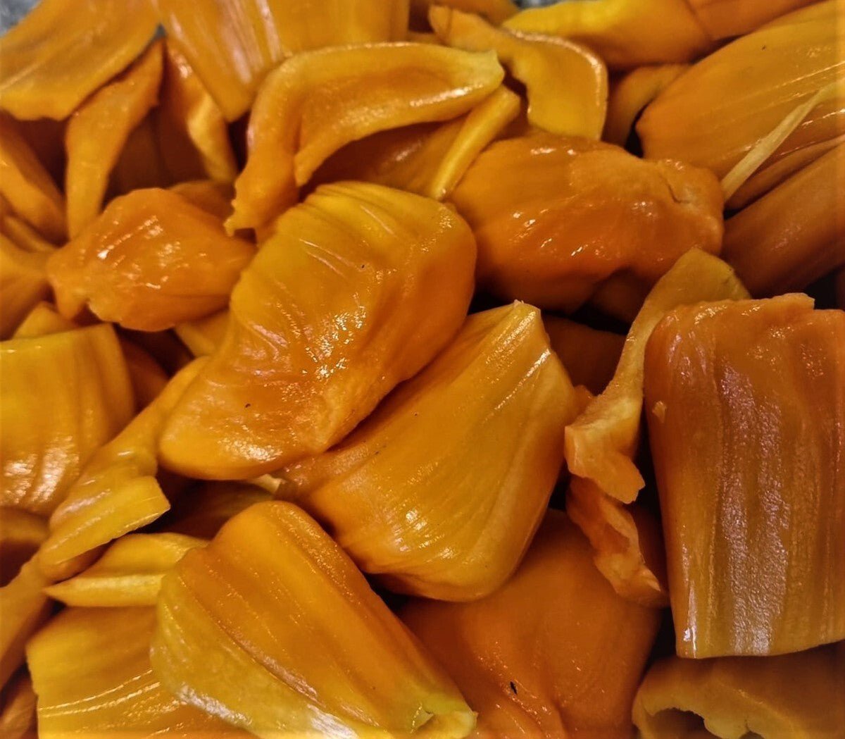 Jackfruit 'Amber' - Ladybird Nursery