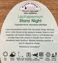 Leptospermum Starry Night (Leptospermum obovatum) - Ladybird Nursery