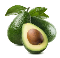 Avocado Zutano (B) - Ladybird Nursery