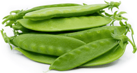 Snow Pea (Pickup Only) - Ladybird Nursery