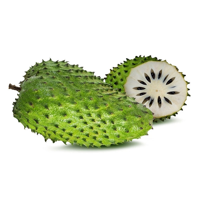 Soursop Cuban Fiberless Grafted