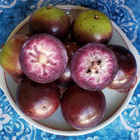 Star apple Grimal Grafted