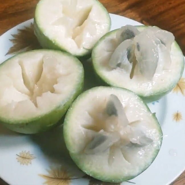 Star apple Newcomb Grafted