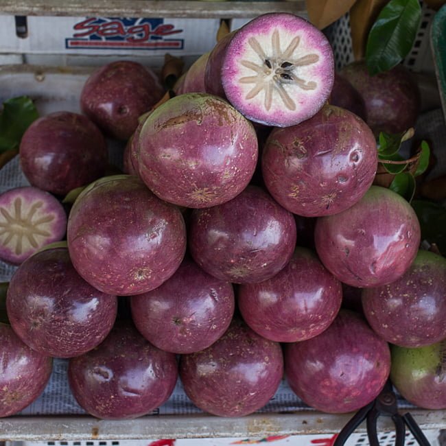 Star apple Weeping Grafted