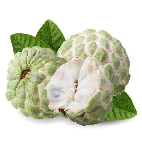 Sugar Apple