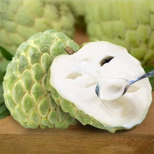 Sugar Apple