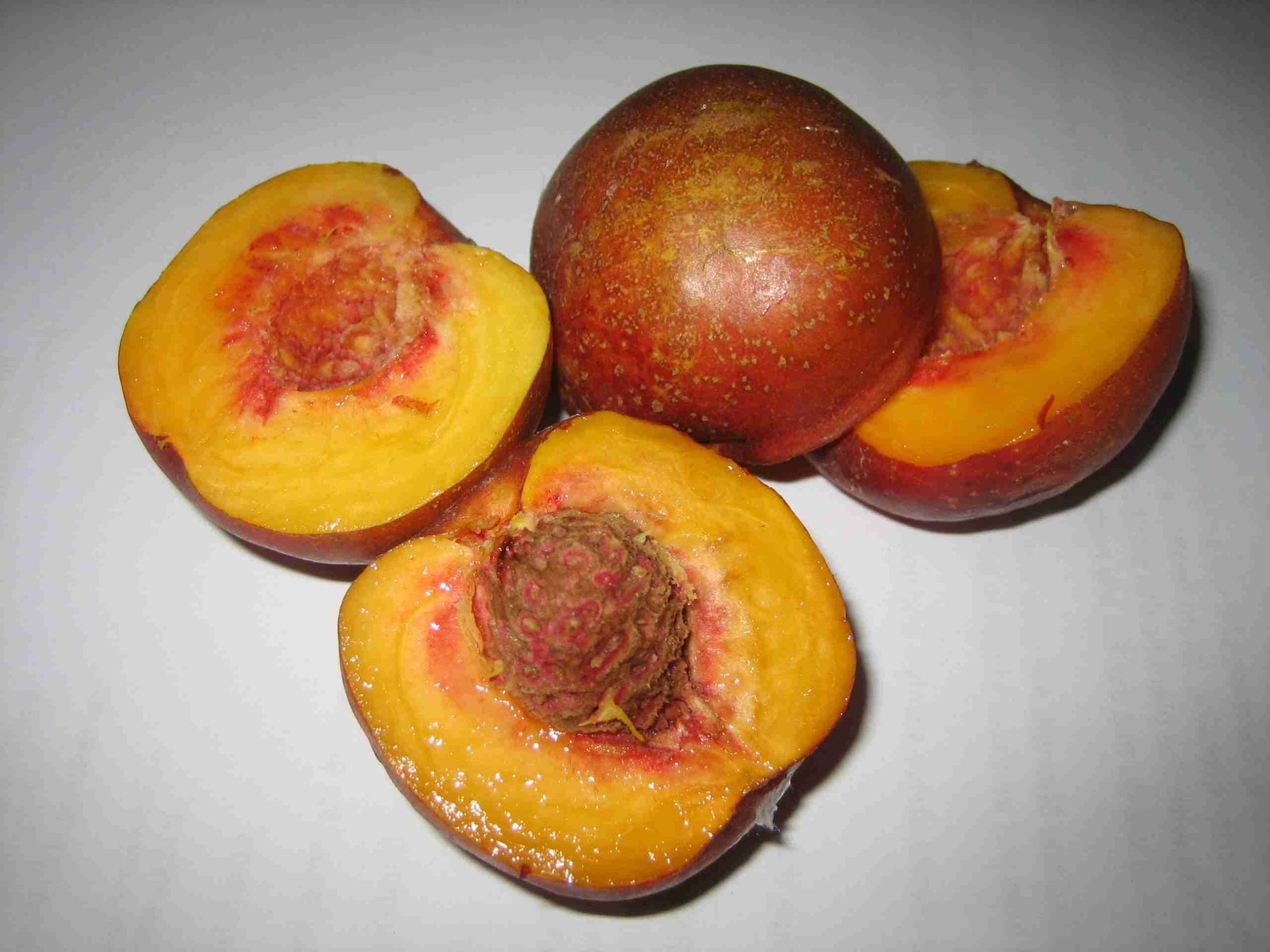 Nectarine Super Dwarf Sunset - Ladybird Nursery