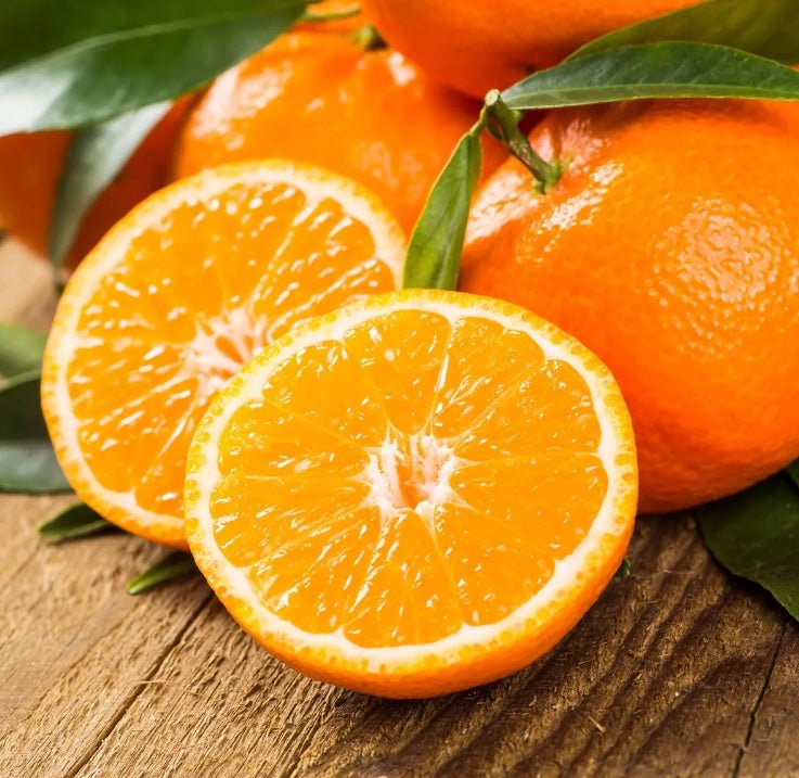 Tangerine (QLD Only) - Ladybird Nursery