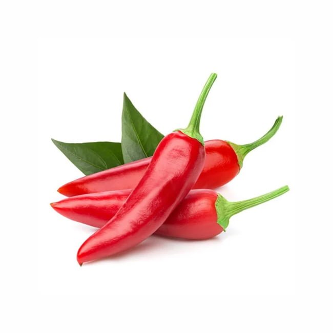 Chilli 'Thai' - Ladybird Nursery