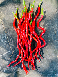 Thunder Mountain Long Horn Chilli