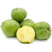 White Sapote Kampong Grafted