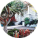 Feature Trees