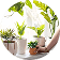 Plant Care Products