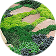 Groundcovers